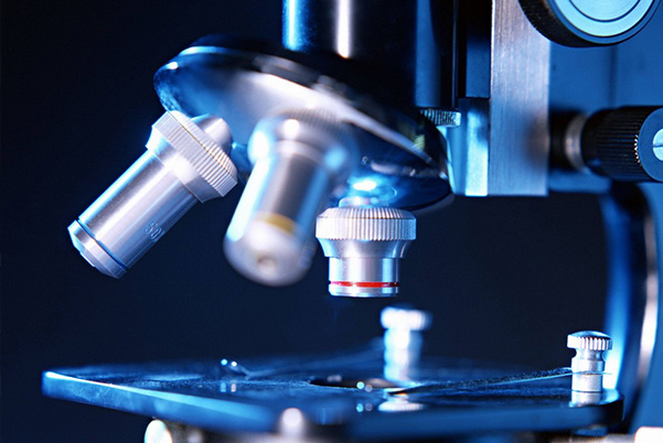 項(xiàng)目管控能力